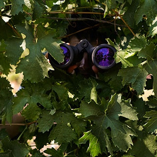 Tänk på detta innan du köper en kikare!