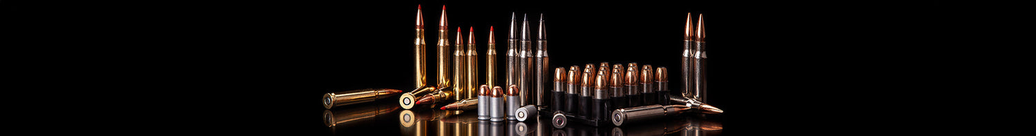 Produkter > Vapen & Vapentillbehör > Ammunition