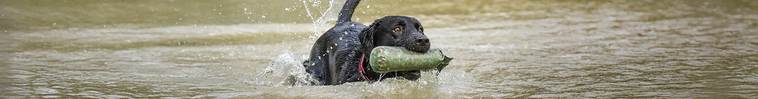 Produkter > Hund > Bilen/Hemmet