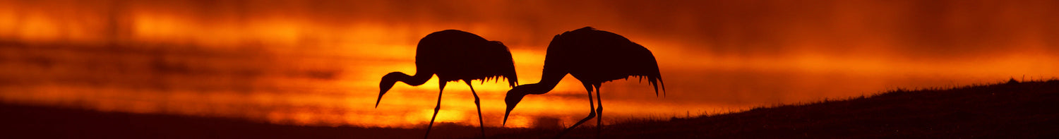 Varumärken > Helios