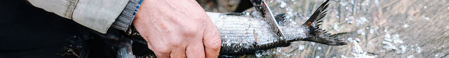 Produkter > Outdoor > Knivar, Yxor & Verktyg > Knivar > Fiskekniv