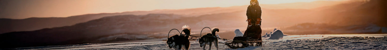 Produkter > Kläder & Skor > Vantar/Handskar