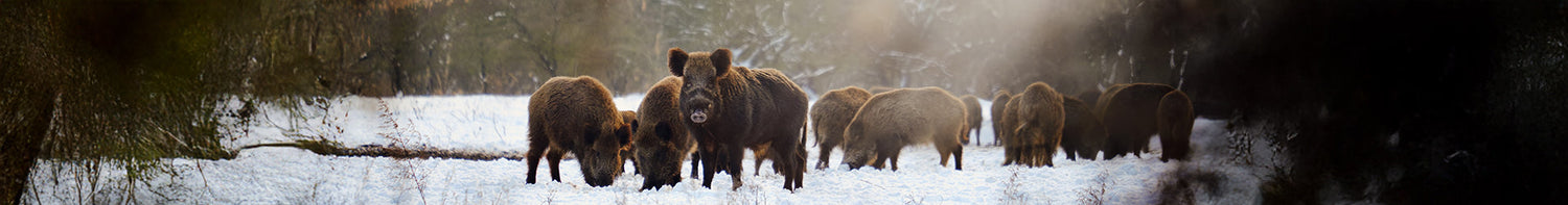 Produkter > Jakt > Kött & Vilthantering