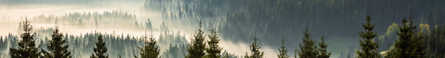 Varumärken > Kestrel