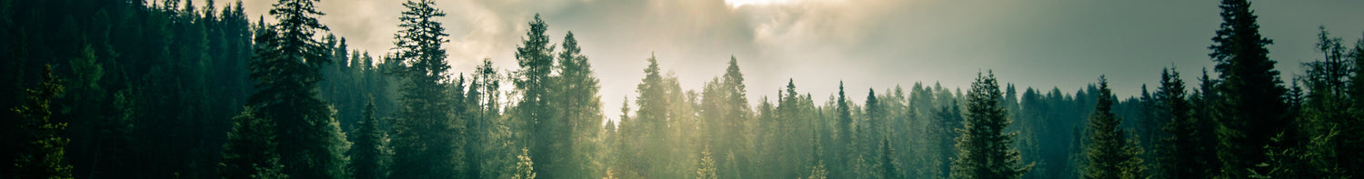 Varumärken > Primary Arms > Rödpunktssikten