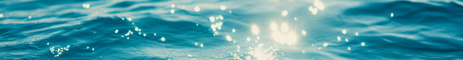 Varumärken > Katadyn