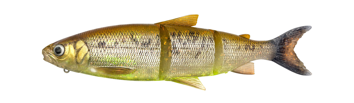 3D Line Thru Whitefish