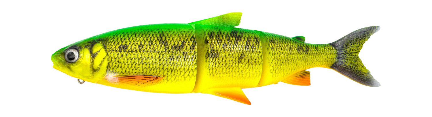 3D Line Thru Whitefish