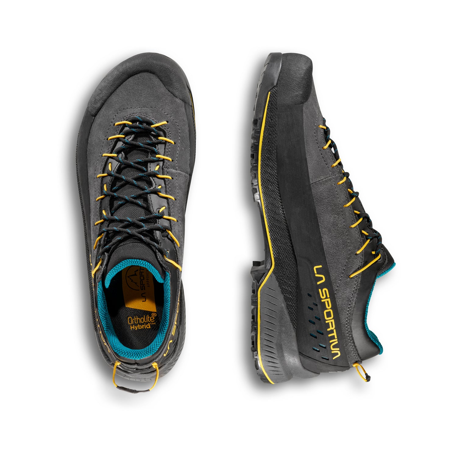 TX4 Evo GTX Men