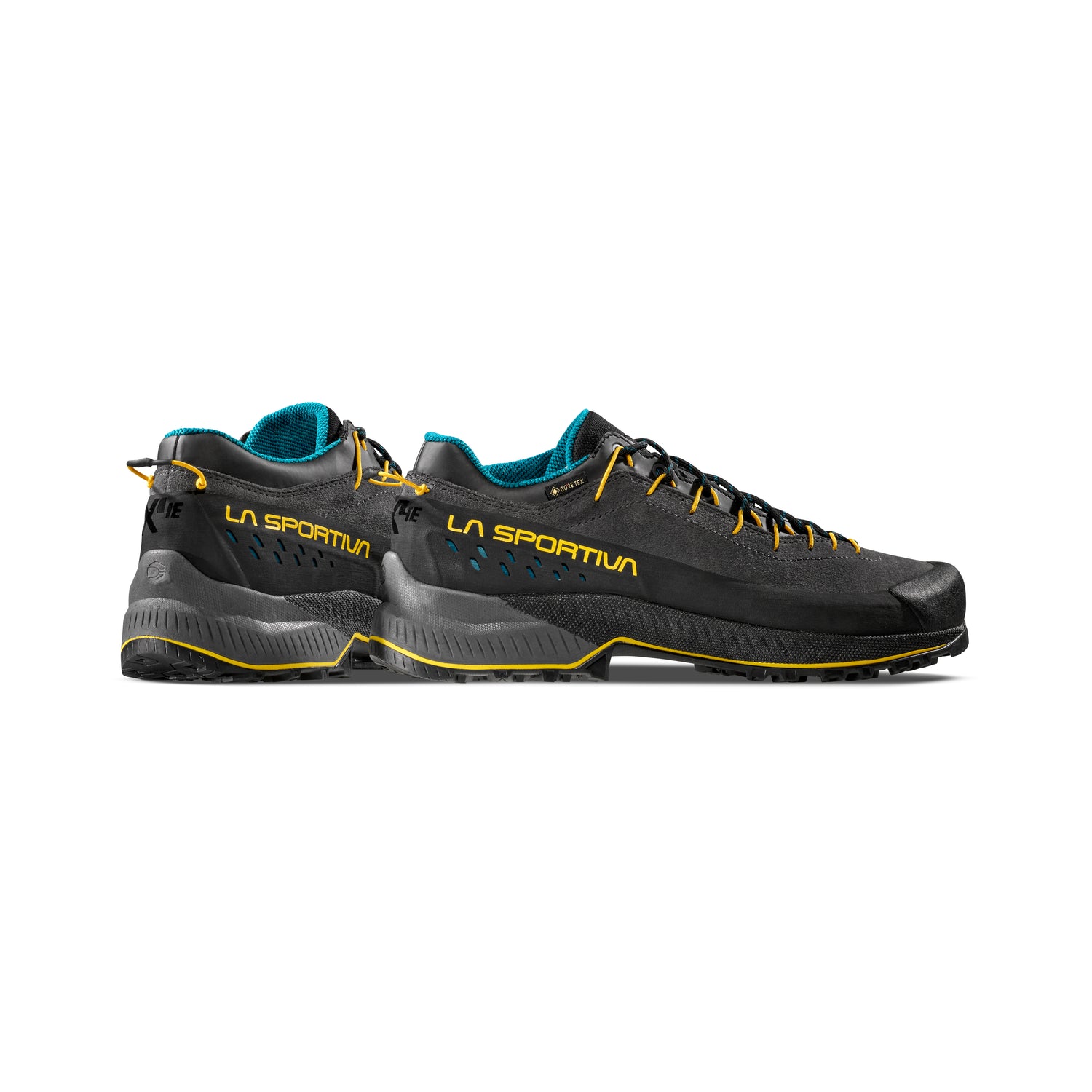 TX4 Evo GTX Men