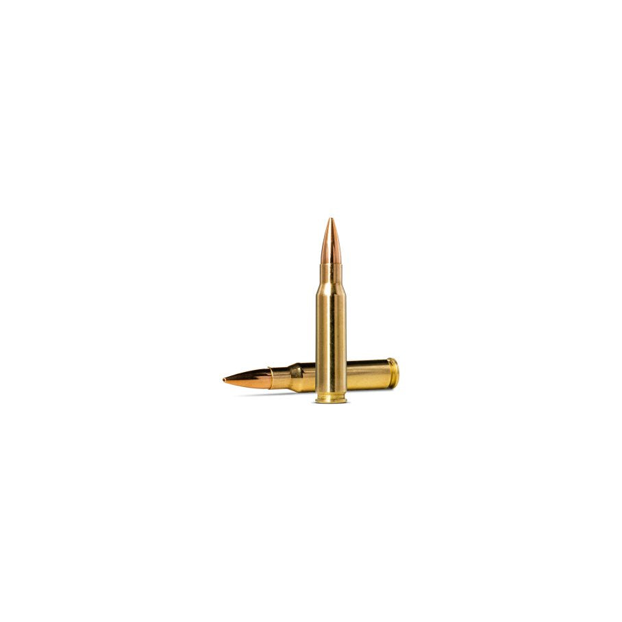 Golden Target .308 WIN / 155 GR / 10 G / 20 ST