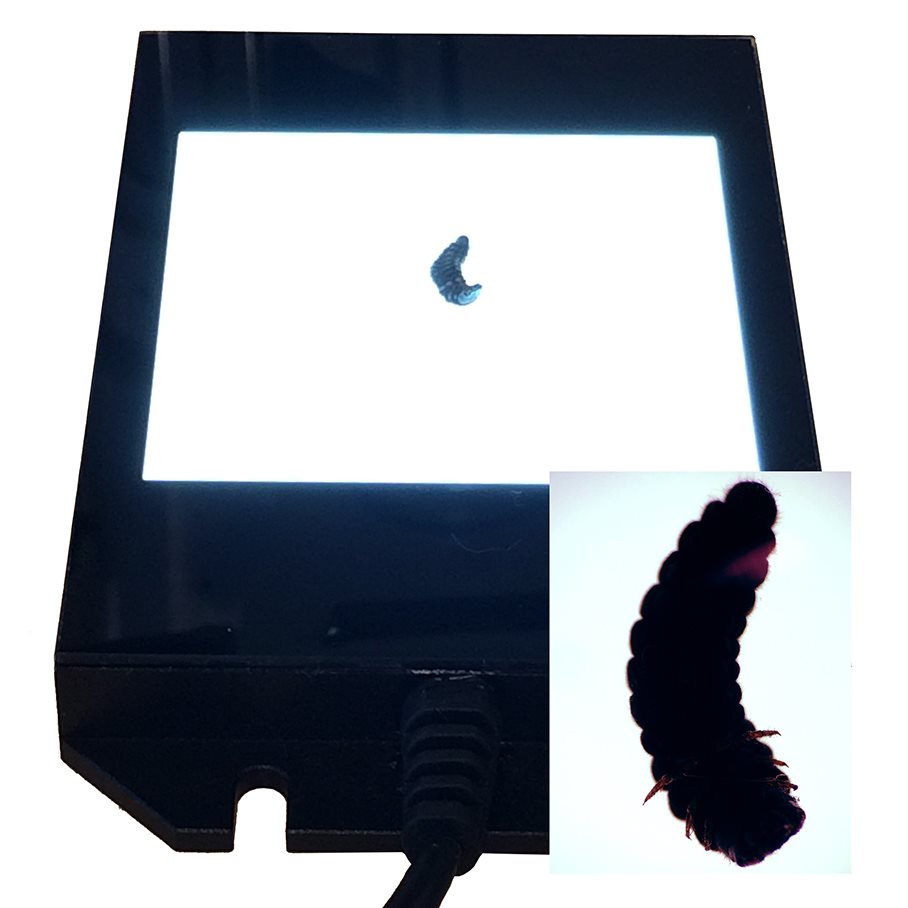 Ljusbord/Ljusyta 10 x 10 cm, För Mindre Glans Vid t.ex. Foto EN STL