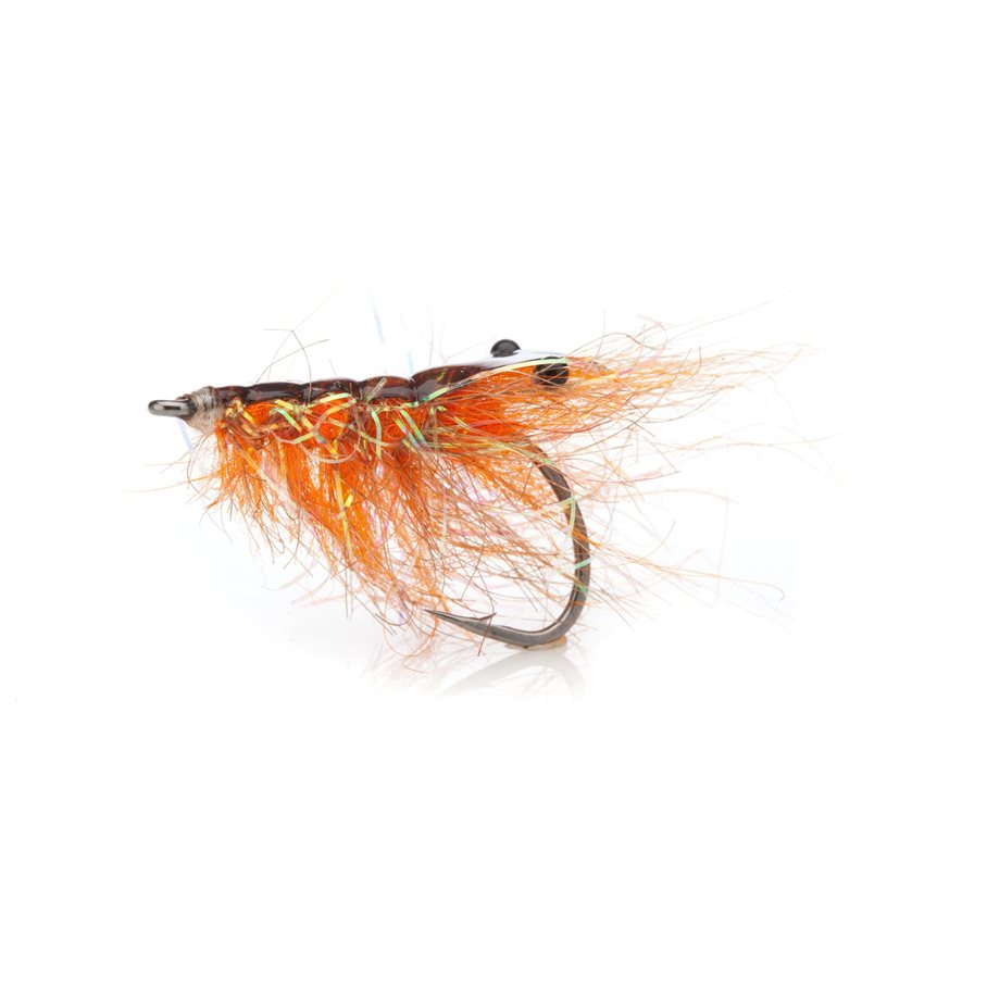 Polarrejen Stl 4 FIRE ORANGE / EN STL