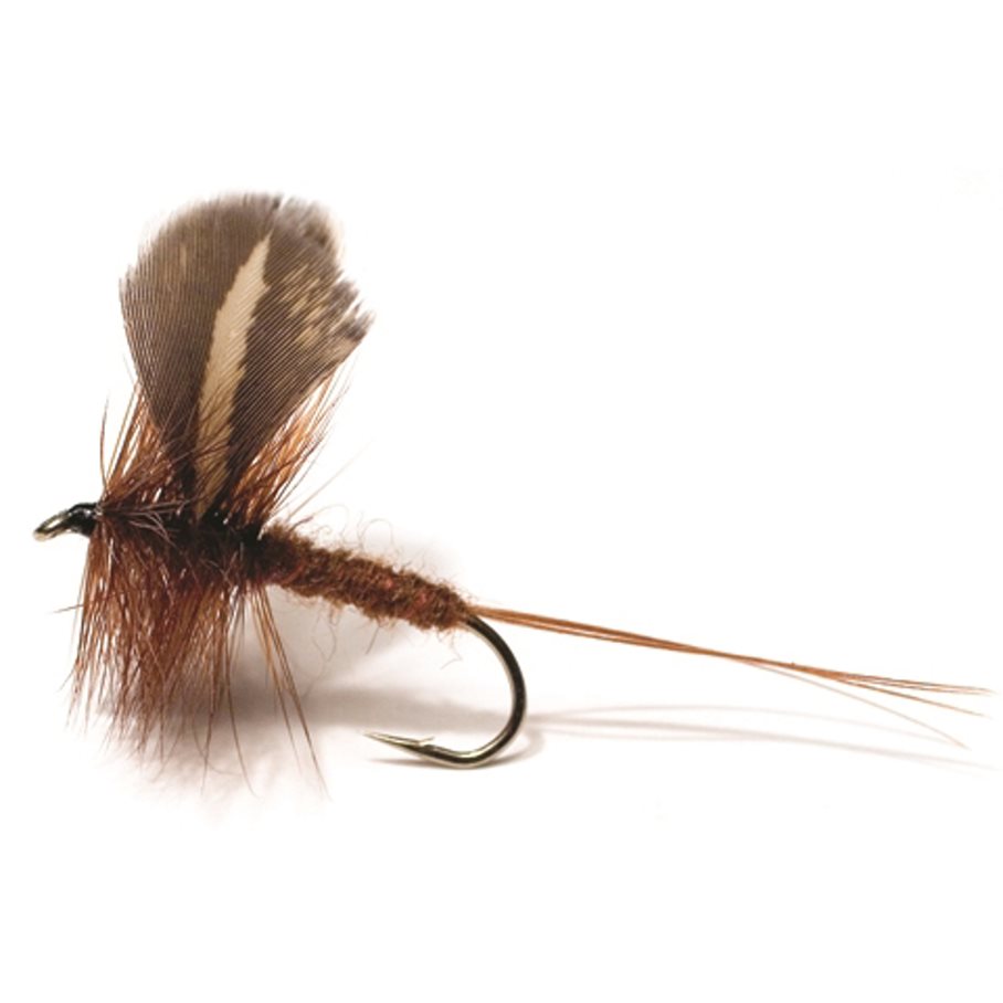 Rocken Dark Brown #10 ROCKEN DARK BROWN / EN STL