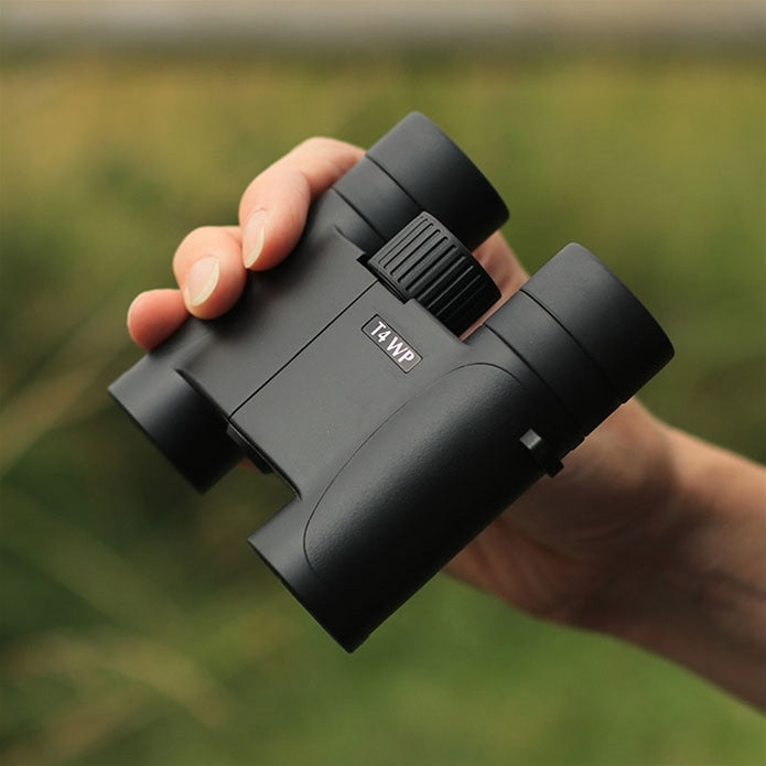 T4 Trailfinder WP 10x25 DCF.GA Svart SVART / EN STL