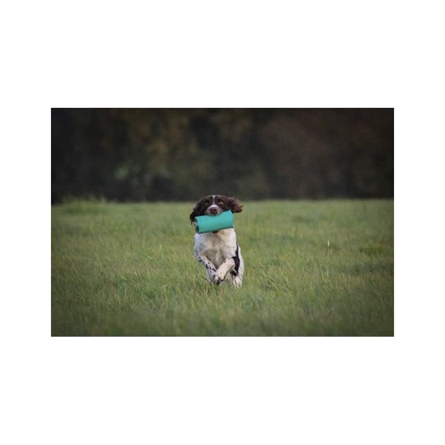 Dummy till apportkastare - Canvas EN STL