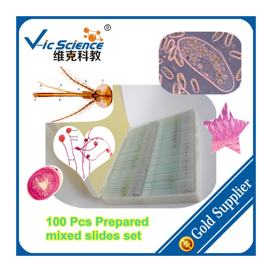 Preparat, blandat, 100st i plastlåda EN STL