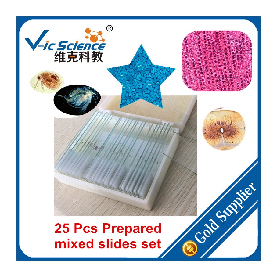 Preparat, blandat, 25st i plastlåda EN STL