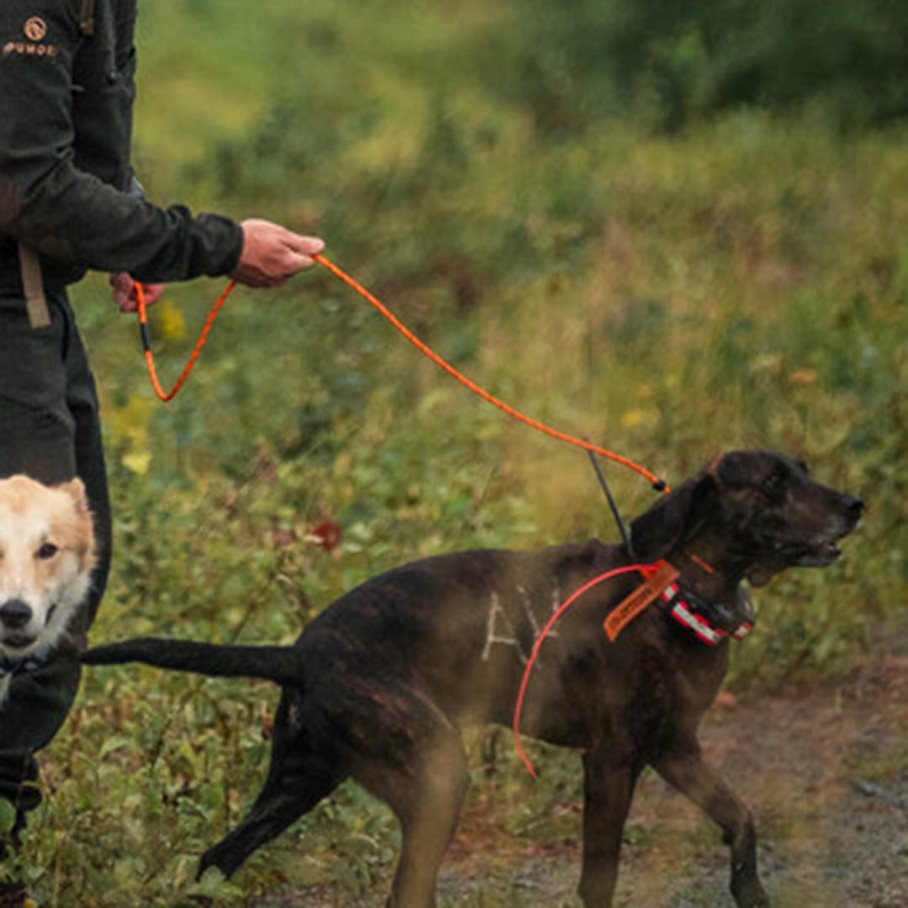Retriverkoppel med invävd reflex 190 cm i flera färger ORANGE / EN STL