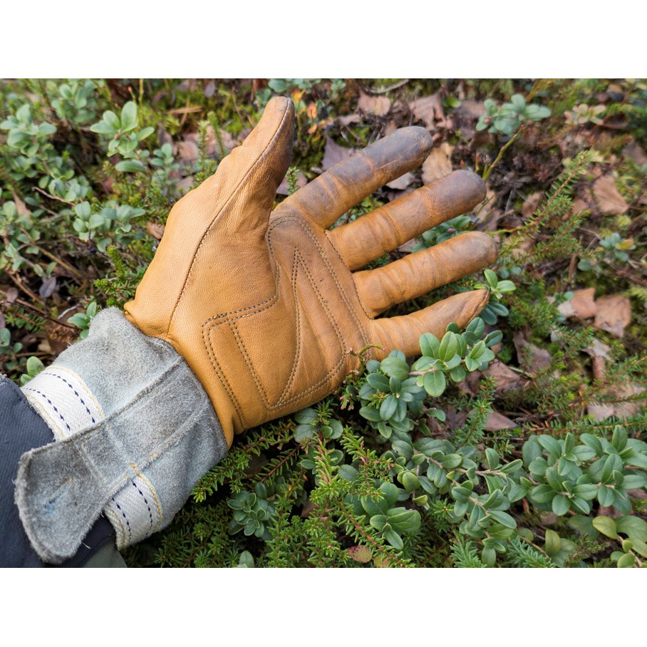 Skullman Glove NATURGUL / 6