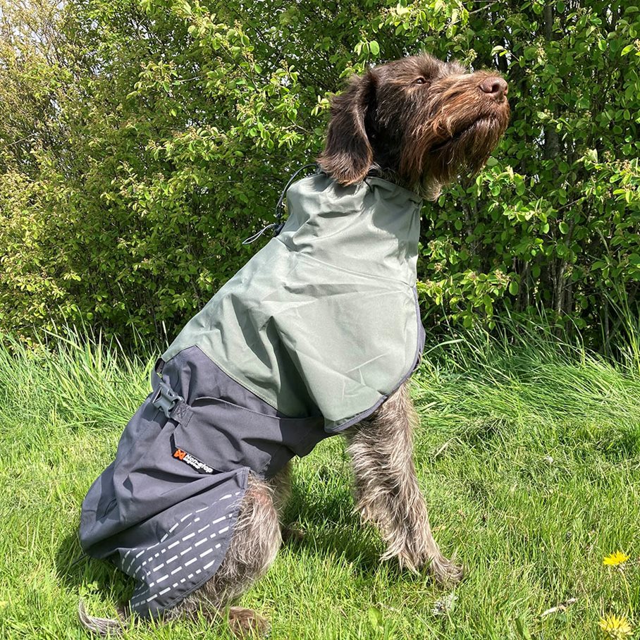 Fjord Regntäcke Hund GRÅ/GRÖN / 35 CM