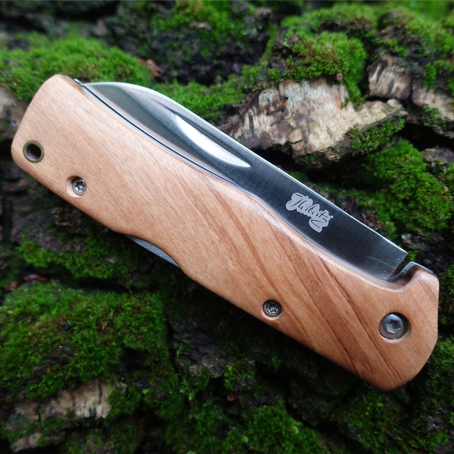 Fickkniv olivträ EN STL