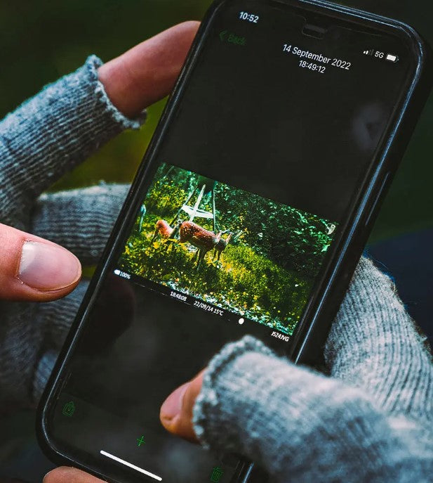 Cloud Camera RESTEN AV NORDEN OCH EUROPA