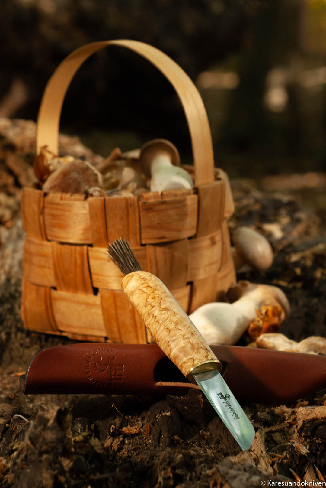 Svampkniv Zwampe Brun BRUN / EN STL