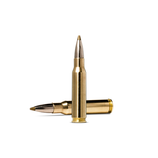 Evostrike .308 WIN / 139 GR / 9 G / 20 ST