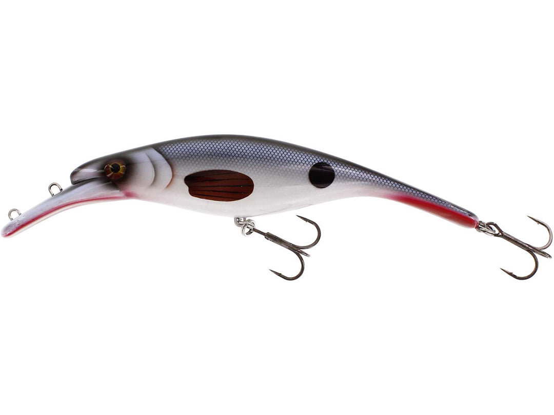 Platypus Crankbait STAMPED ROACH / 22 CM / 150 GRAM LOW FLOAT