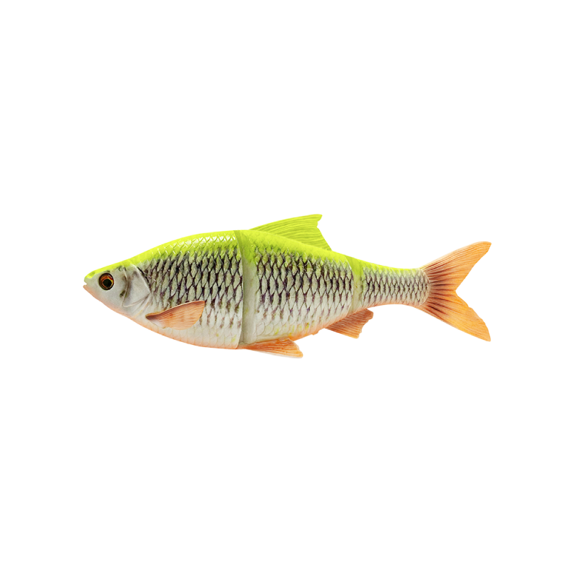 Line Thru Roach SS 32 cm GOLDEN BREAM / 32 CM / 420 GRAM