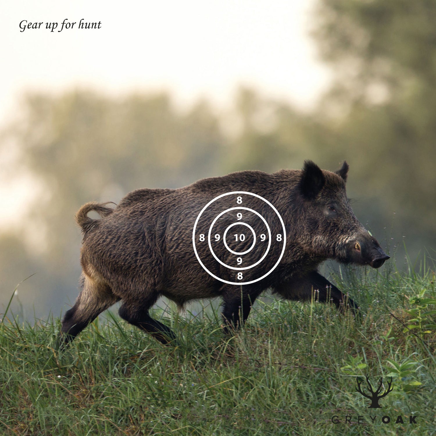 Måltavla för luftgevär/ Djurmotiv MULTICOLOR / 50-PACK