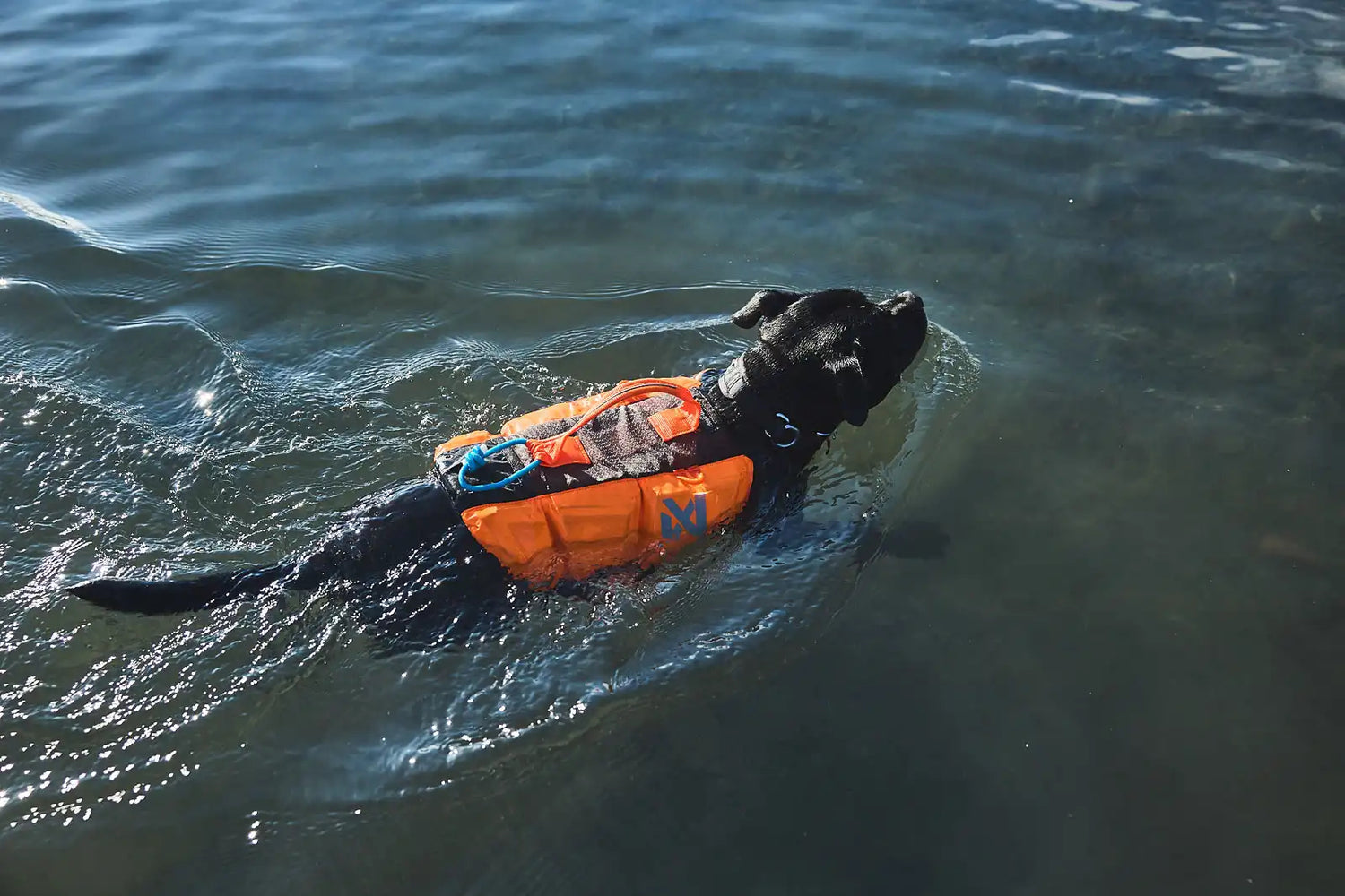 Protector life jacket BLACK/ORANGE / 2
