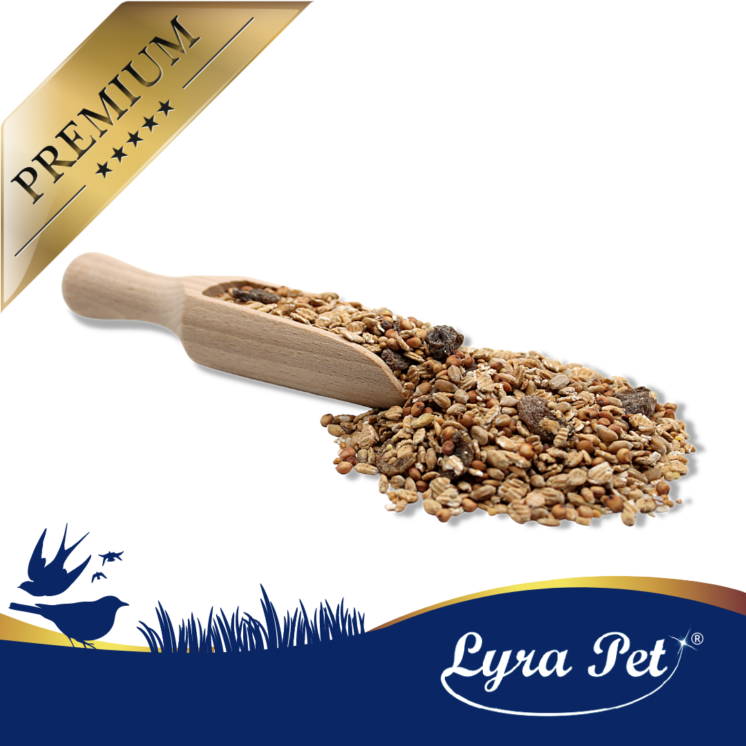 Fettfoder för Vilda Fåglar - Energi- & Näringsrikt 10 KG