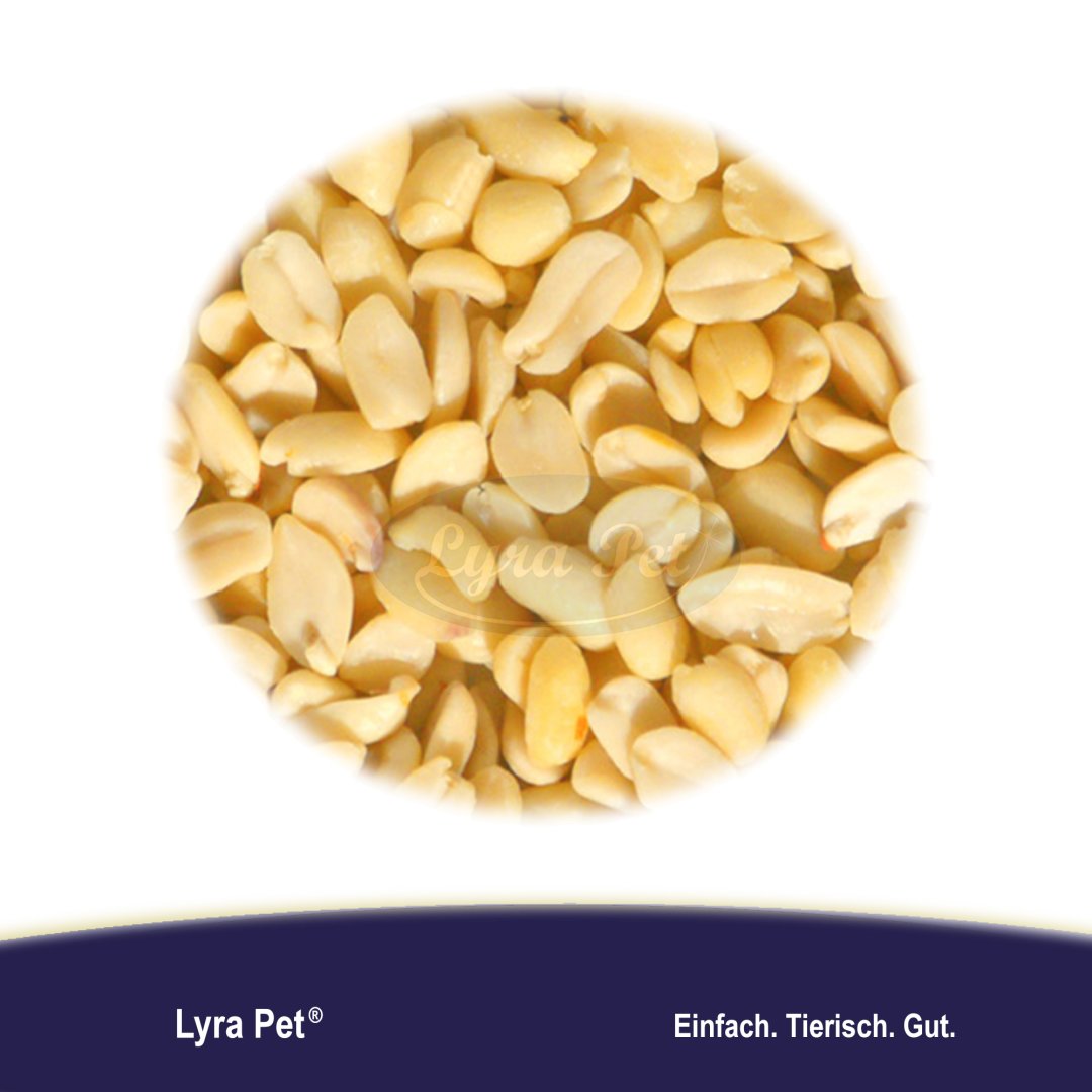 Delade Jordnötter för Vilda Fåglar 10 KG