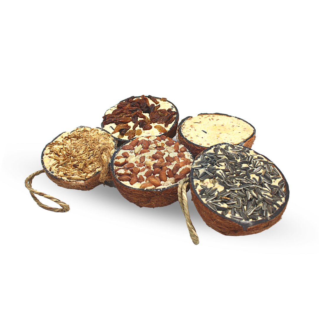 Halva Kokosnötter med fyllning för fåglar 10 STYCKE