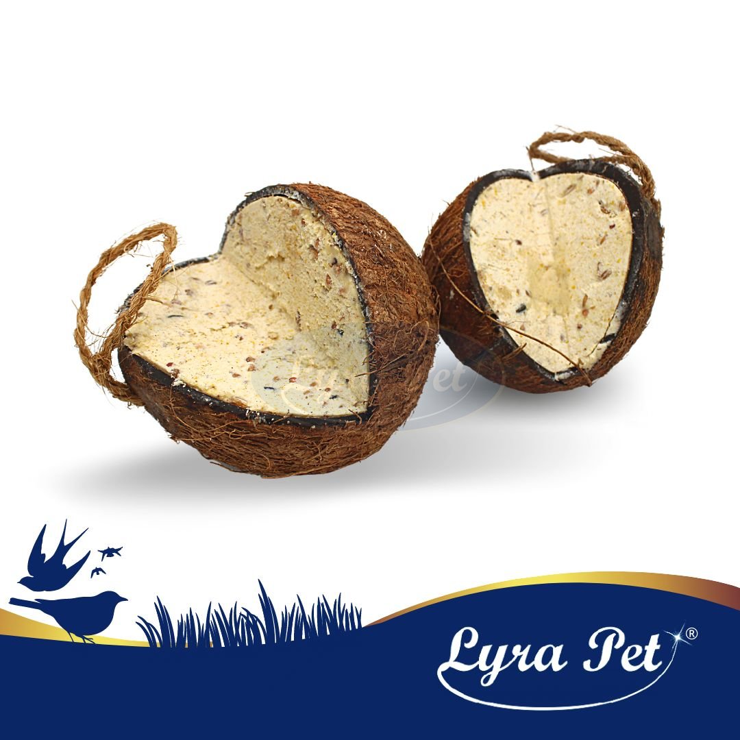 Fylld Kokosnöt V-Skuren 4 pack 4 STYCKE