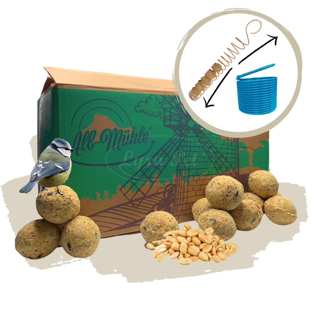 Talgbollar utan nät fullkorn & nöt + 2 matare 150 STYCKE