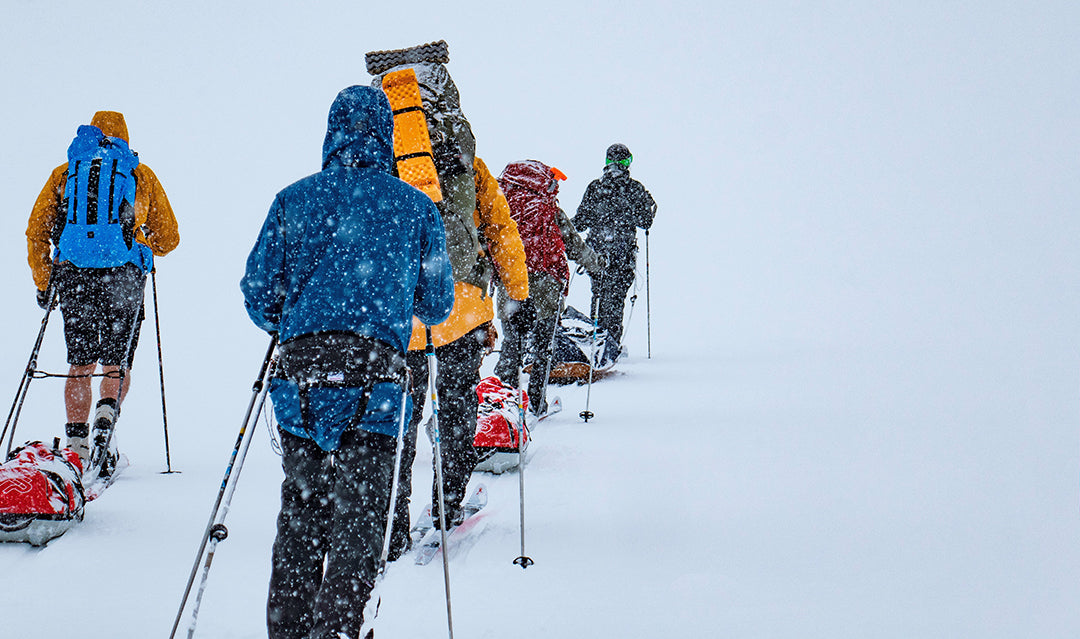 Cecile BC WL/FL Turskidor Vallningsfria 170