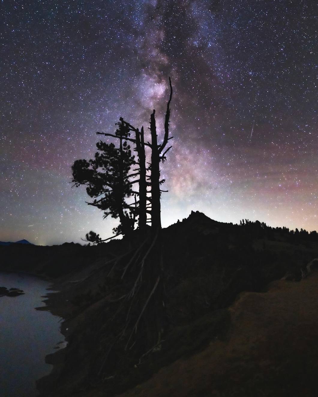 AC Adapter - 2A Universal 1 ST