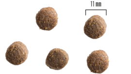 Dog Adult All Breed Lamm och Potatis 2kg eller 10 kg SMAK LAMM OCH POTATIS & MÄNGD 2 KG