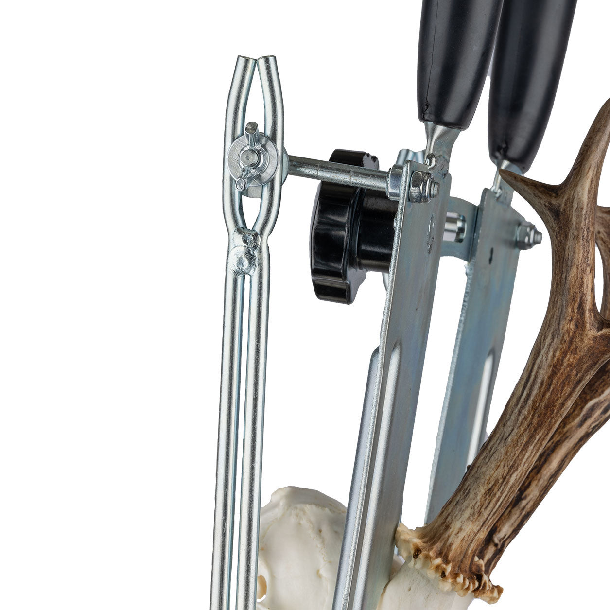 Trofésåg, råbockstrofé Ställbara sågvinklar EN STL