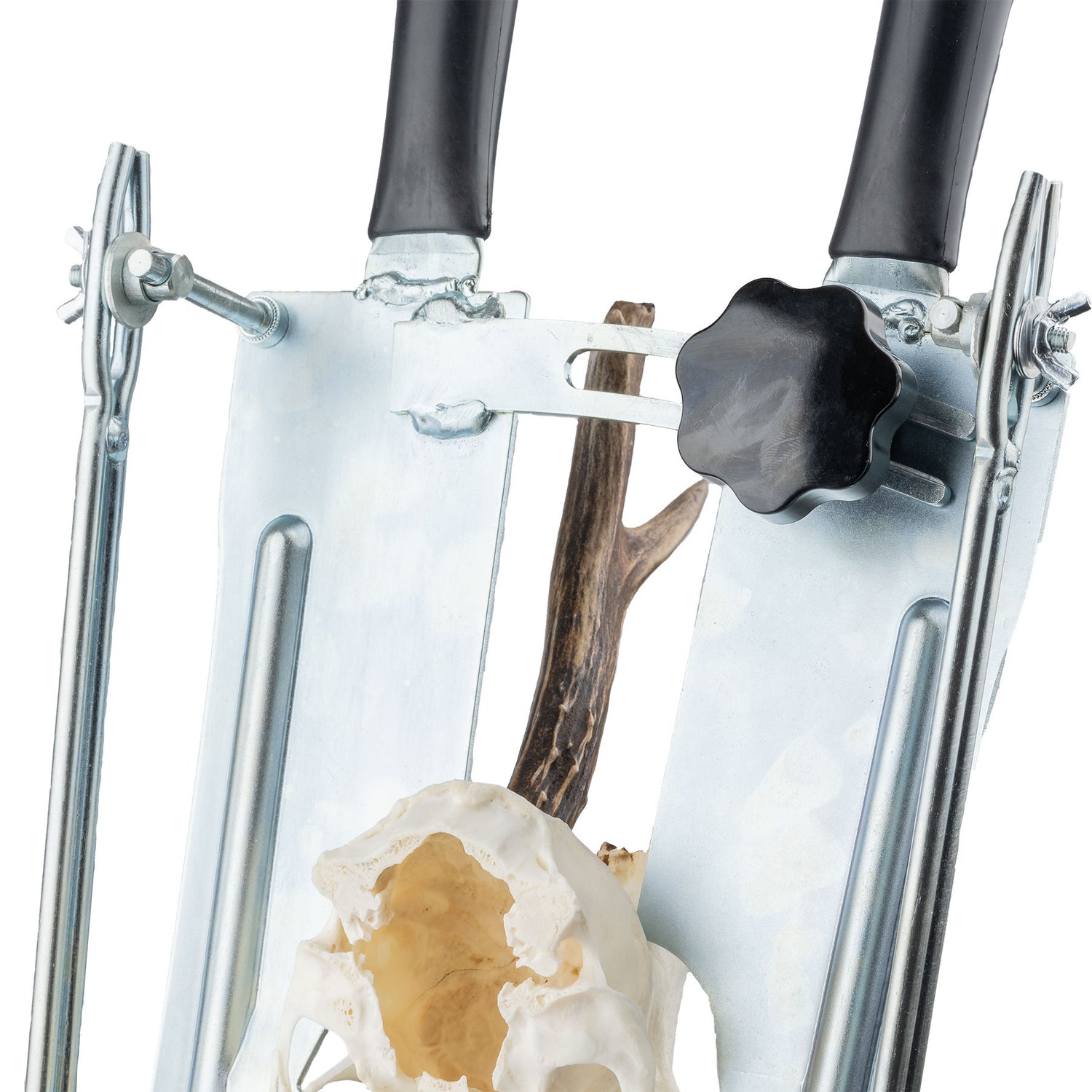 Trofésåg, råbockstrofé Ställbara sågvinklar EN STL