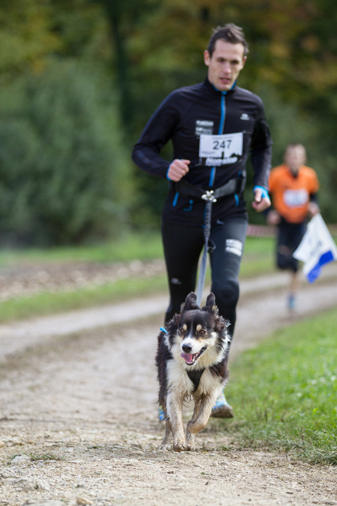 Joggingsele