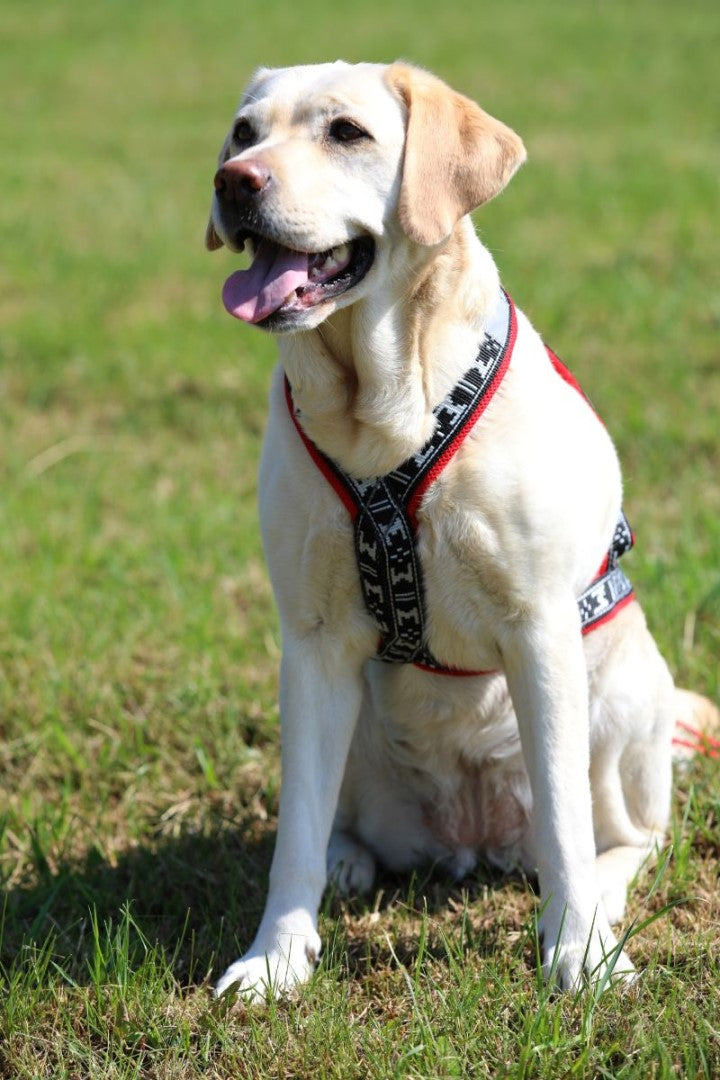 Run Long Sele RÖD / XS