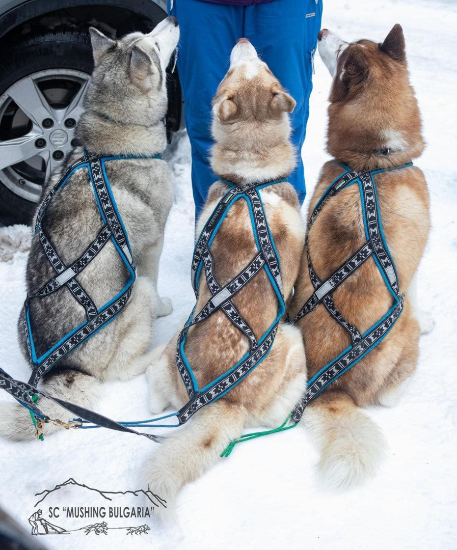 Run Long Sele ALPINBLÅ / XS