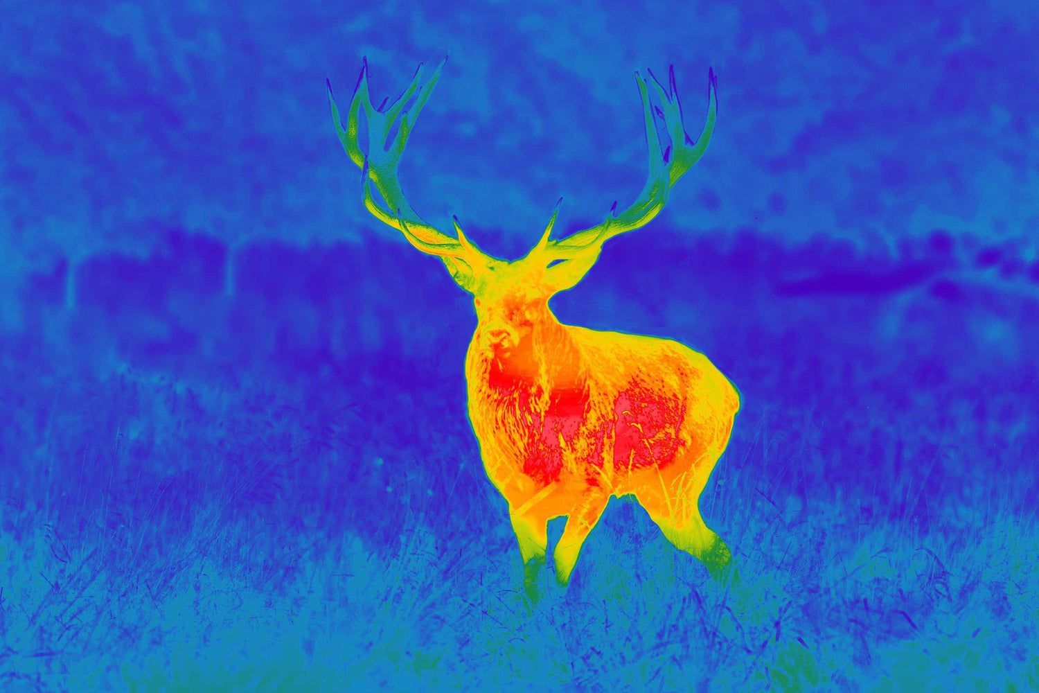 Spectra TI35 Thermial
