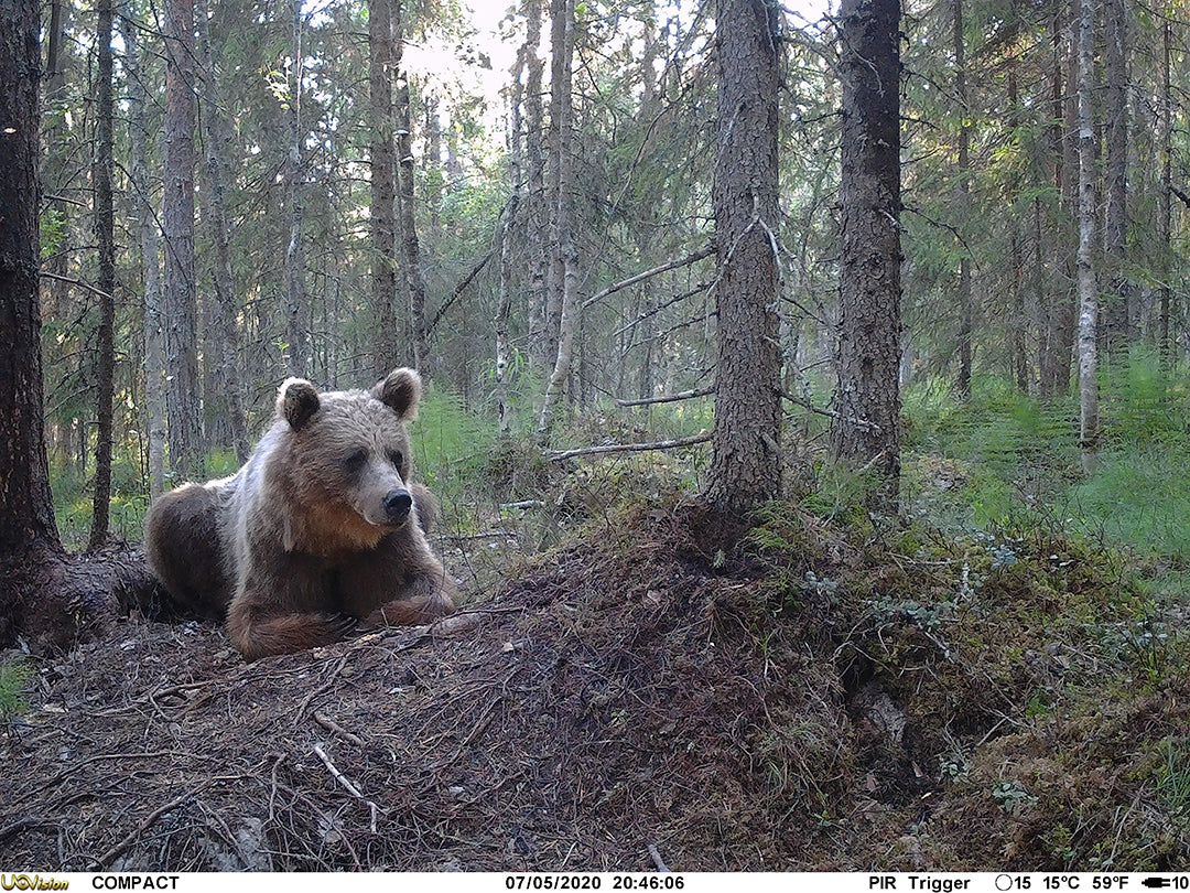Åtelkamera Compact LTE inbyggt SIM-kort ONE SIZE