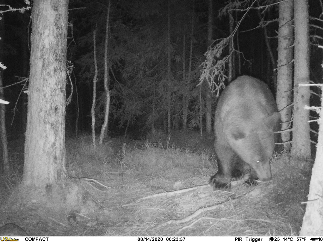 Åtelkamera Compact LTE inbyggt SIM-kort ONE SIZE