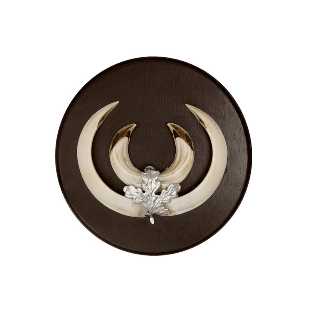 Trofésköld Vildsvin 18CM